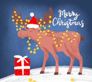 How to Make Your Christmas Card a Special Gift on Its Own - home, gift, diy, Christmas Card