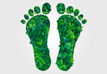 4 Easy Ways To Shrink Your Carbon Footprint - Lifestyle, Carbon Footprint