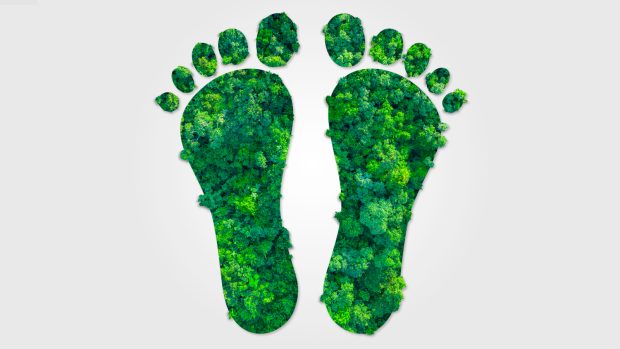 4 Easy Ways To Shrink Your Carbon Footprint - Lifestyle, Carbon Footprint