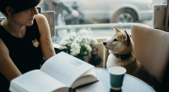 What You Can Do to Make Your Dog a Part of the Family