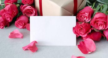 Why Can Sola Flowers Be a Perfect Gift to Your Loved Ones?