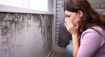 How Your Home Can Benefit From Professional Mold Testing