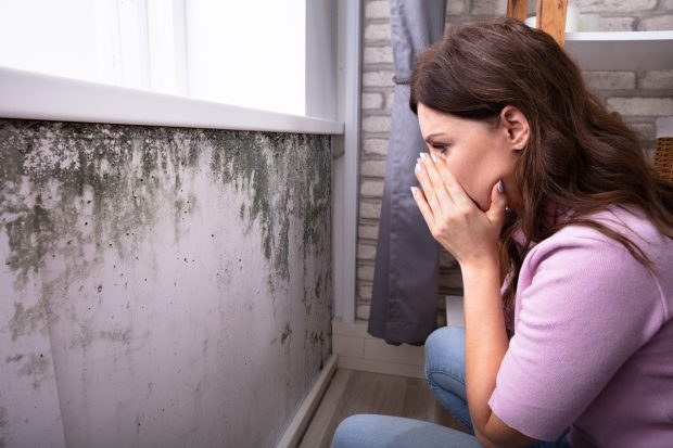 Side View Of A Shocked Young Woman Looking At Mold On Wall