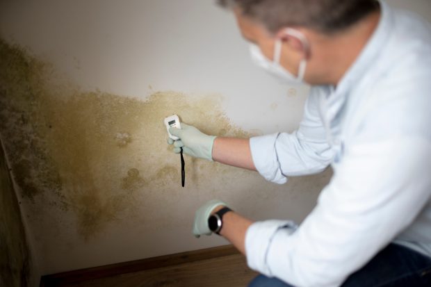 Man with nose mouth protection measures the moisture level on a wall with mold in an apartment