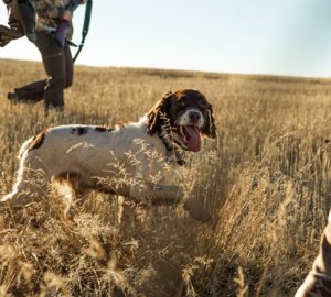 How to Improve Your Hunting Skills - skills, Lifestyle, improvement, hunting