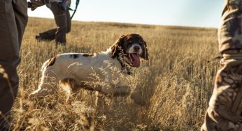 How to Improve Your Hunting Skills