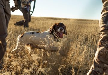 How to Improve Your Hunting Skills - skills, Lifestyle, improvement, hunting