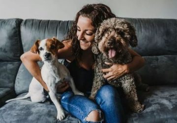 Tricks on How to prevent your dog ​​from eating the sofa - style motivation, pets, dogs and sofas, dogs, dog training, dog playing, animals