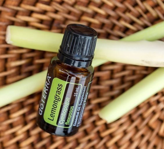 Useful properties of lemongrass oil and ways to use it in cosmetology Useful properties of lemongrass oil and ways to use it in cosmetology - style motivation, skin, oils, oil benefits, lemongrass oil benefits, lemongrass oil, lemongrass, benefits, beauty