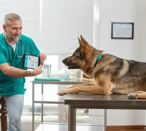 5 Techy Gifts for People Who Worship Their Pets - worship, smart bone, portrait, pets, monitor, gps tracker, collar