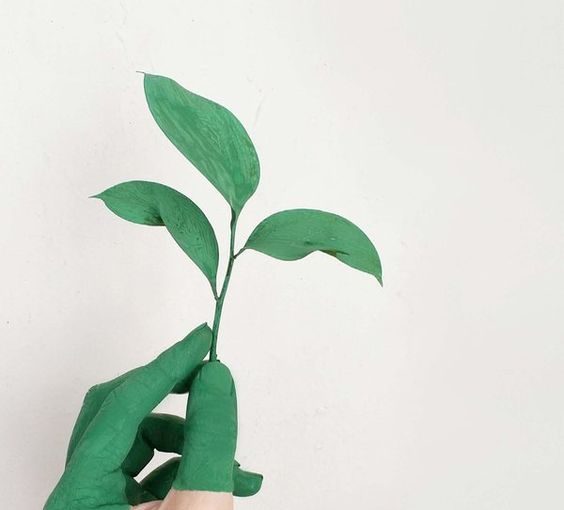 The Signs that indicate an eco-responsible fashion brand The Signs that indicate an eco-responsible fashion brand - style motivation, style, fashion brands, fashion, eco-responsible brands, eco-brands