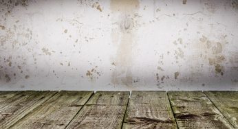 7 Common Signals Your Floor Needs Restoration