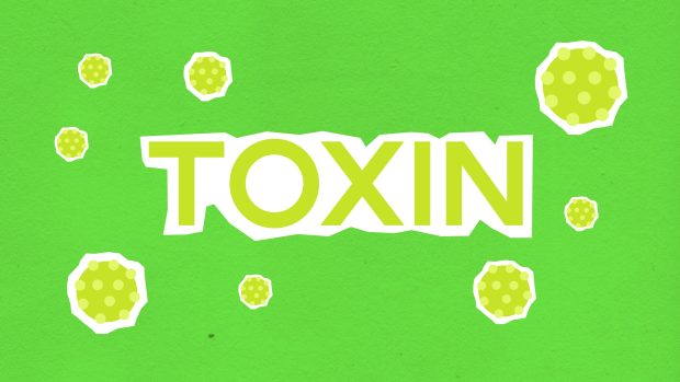 Have You Been Exposed To Toxic Substances? Here's What You Need To Do - toxic, substances, protective, gear, exposed, environment