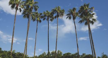 How To Plan For A Fun Vacation In Orlando