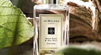 Embrace the Scent of Summer: Top Perfumes for Men to Beat the Heat