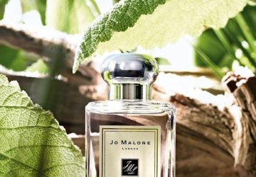 Embrace the Scent of Summer: Top Perfumes for Men to Beat the Heat - the best summer men perfumes, summer men perfumes, style motivation, Perfumes, men perfume