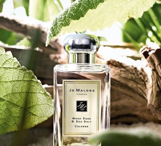 Embrace the Scent of Summer: Top Perfumes for Men to Beat the Heat Embrace the Scent of Summer: Top Perfumes for Men to Beat the Heat - the best summer men perfumes, summer men perfumes, style motivation, Perfumes, men perfume