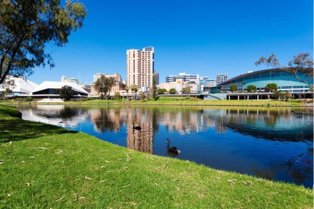 Discovering Adelaide: Why should you visit this incredible city? - travel, festival, adelaide