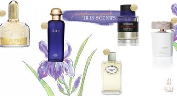 Iris – The Noble Ingredient in the Perfumery World