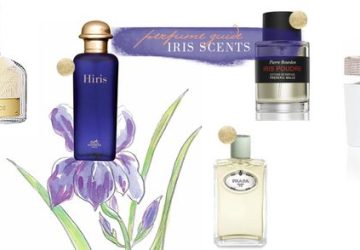 Iris - The Noble Ingredient in the Perfumery World - prada perfume, Perfumes, iris note perfumes, dior perfume, chanel perfume