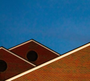 How to Protect Your Roof From Weather Damage - weather damage, vegetation, trimming trees, roof, installation