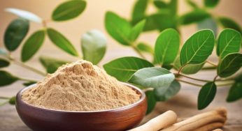 How Ashwagandha Nurtures Both Body and Mind