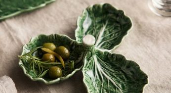 The Intriguing Evolution of Cabbage Leaf Tableware