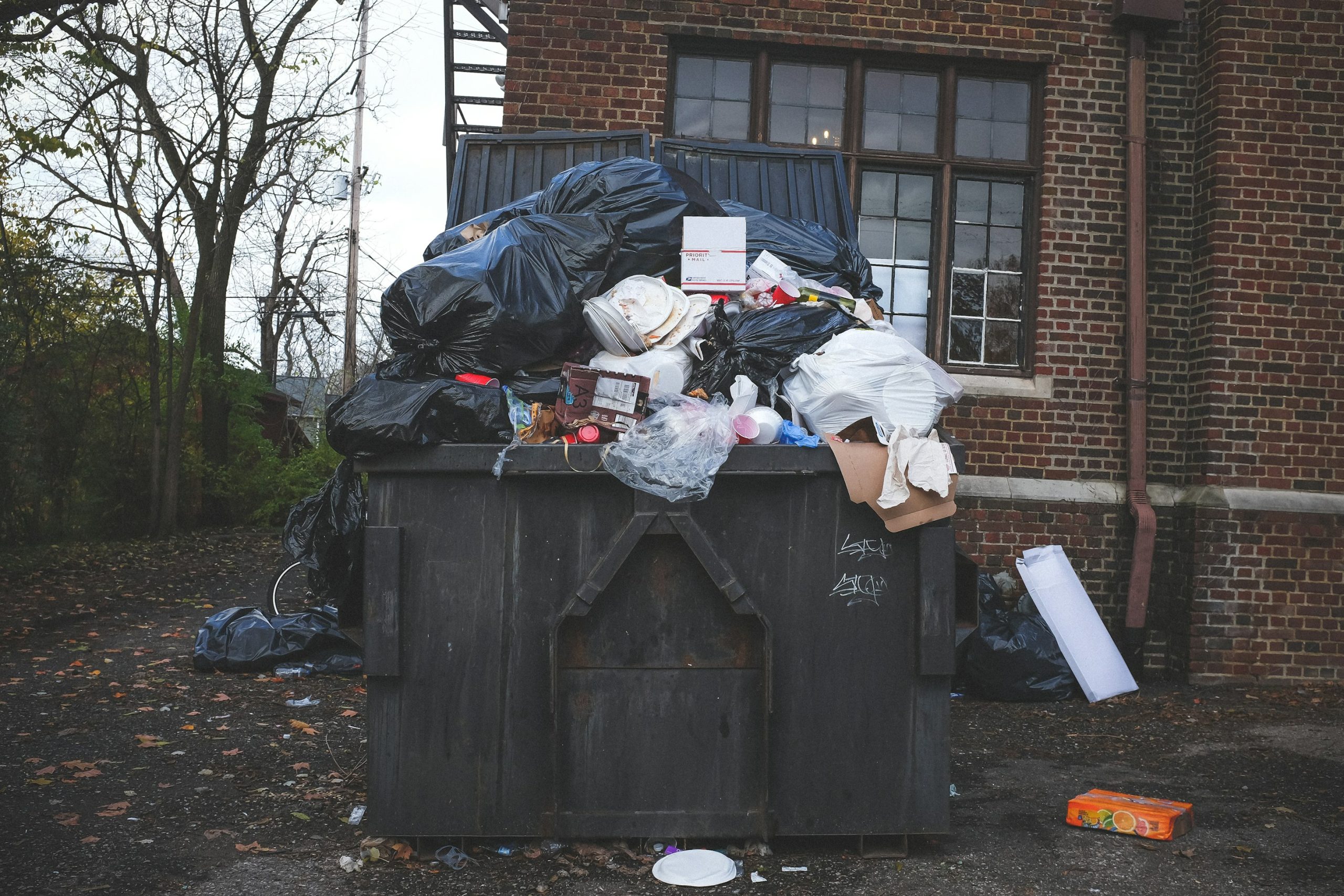 How to Find the Right Dumpster for Your Needs - weight restrictions, timeline, service, project, dumpster, dimensions, cost
