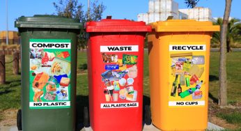How to Find the Right Dumpster for Your Needs