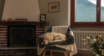 How to Find Reliable Furnace Suppliers for Your Home