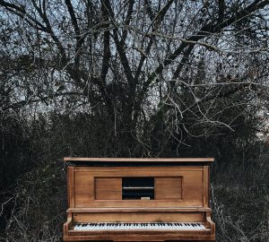 How to Move a Piano without Professional Movers - professional movers, preparation process, piano, moving process, moving, Lifestyle