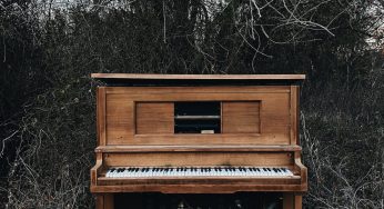 How to Move a Piano without Professional Movers