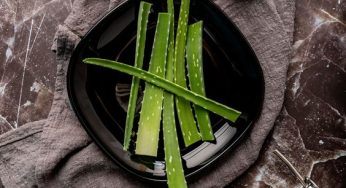 Aloe Vera’s Hidden Treasures for Radiant Health