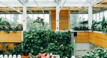 No Spore Left Behind – Create The Perfect DIY Indoor Garden For The Winter