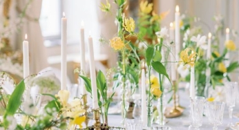 Make Your Daffodils Shine All Spring Season Long with These 5 Expert Tips