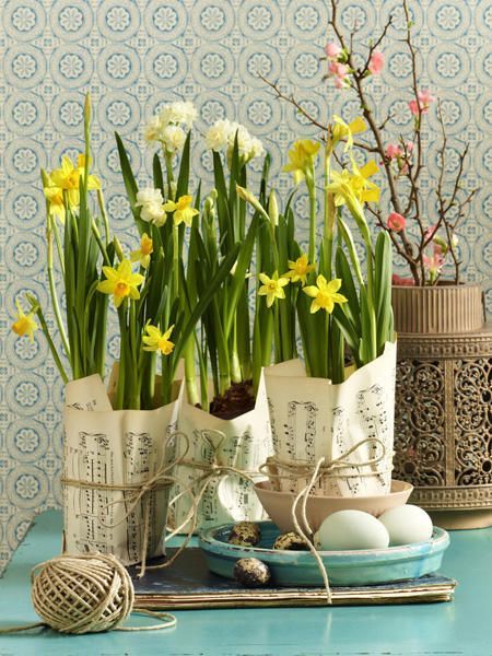 Make Your Daffodils Shine All Spring Season Long with These 5 Expert Tips