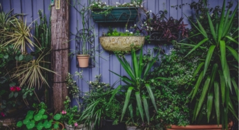 Exterior and Landscaping Design Features That Will Transform Your Backyard